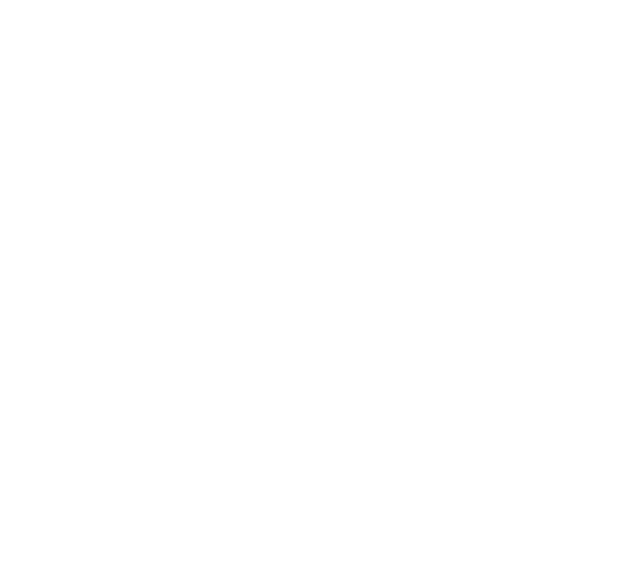Icon Physiotherapeut:in