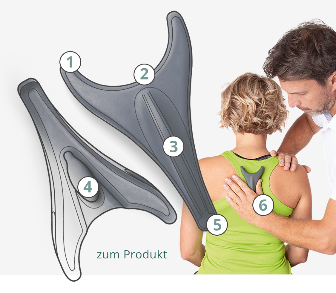 PhysioTool_Head_Mobile