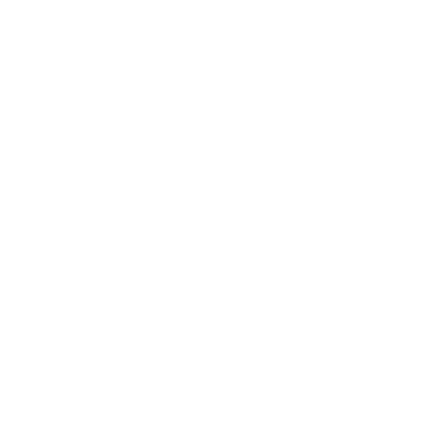 PINO Icon International