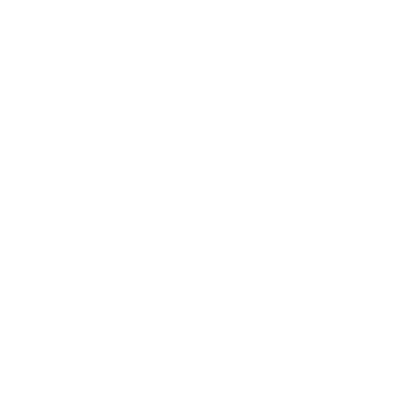 PINO Icon Mission